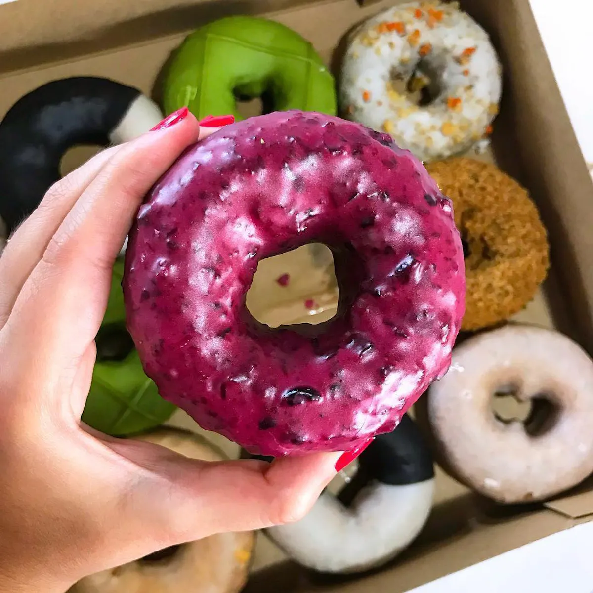 Doughnut Plant 1.jpg