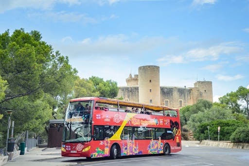 palma1.jpeg