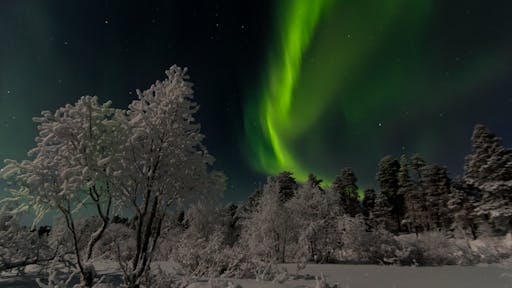 Hunting northern lights with Lappish barbecue2.jpg