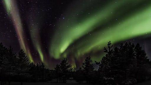 Hunting northern lights with Lappish barbecue3.jpg