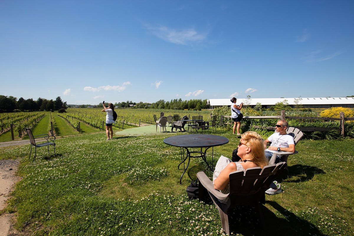 Amadeo Hamptons tour_image.jpg