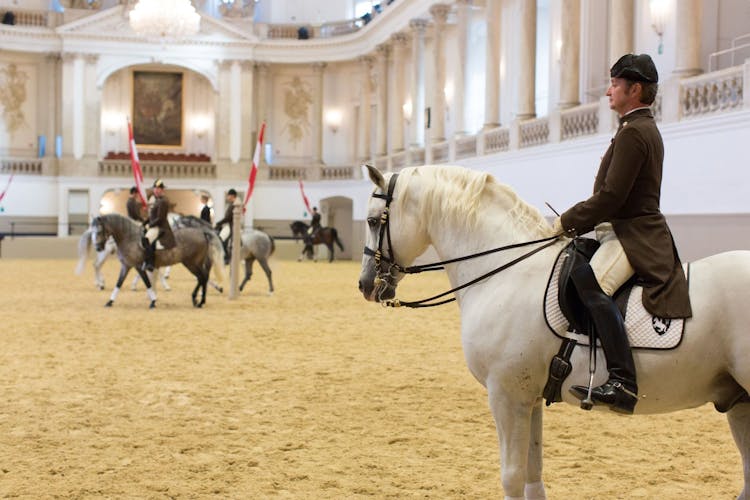 Spanish Riding School Vienna Training