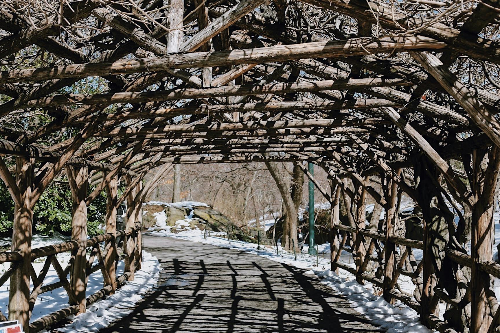 The Essential Central Park Guided Walking Tour New York City Semi-Private Tour Private Tour Babylon Tours1.JPG