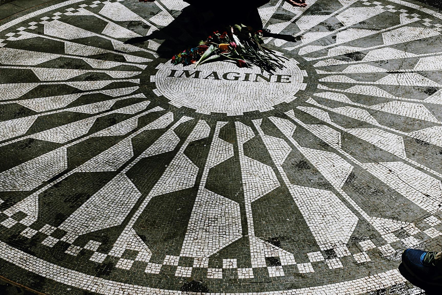 The Essential Central Park Guided Walking Tour New York City Semi-Private Tour Private Tour Babylon Tours2.JPG