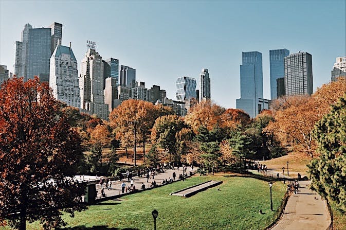 The Essential Central Park Guided Walking Tour New York City Semi-Private Tour Private Tour Babylon Tours5.JPG