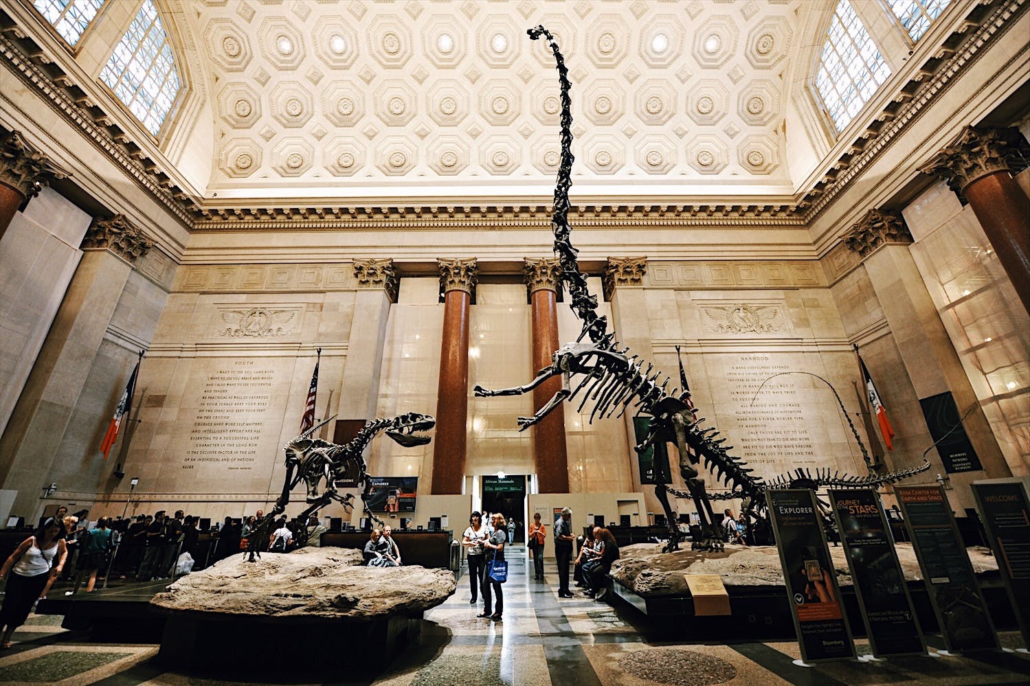 The American Museum of Natural History NYC Skip-the-Line Guided Tour New York City Semi-Private Tour Private Tour Babylon Tours7.JPG