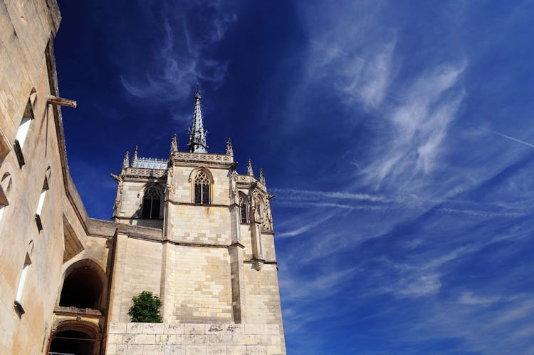 Skip-the-line tickets to the Château Royal d'Amboise