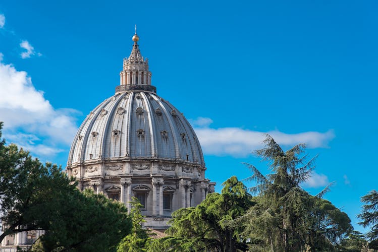 Vatican Museum, Sistine Chapel and St Peter's Basilica ...