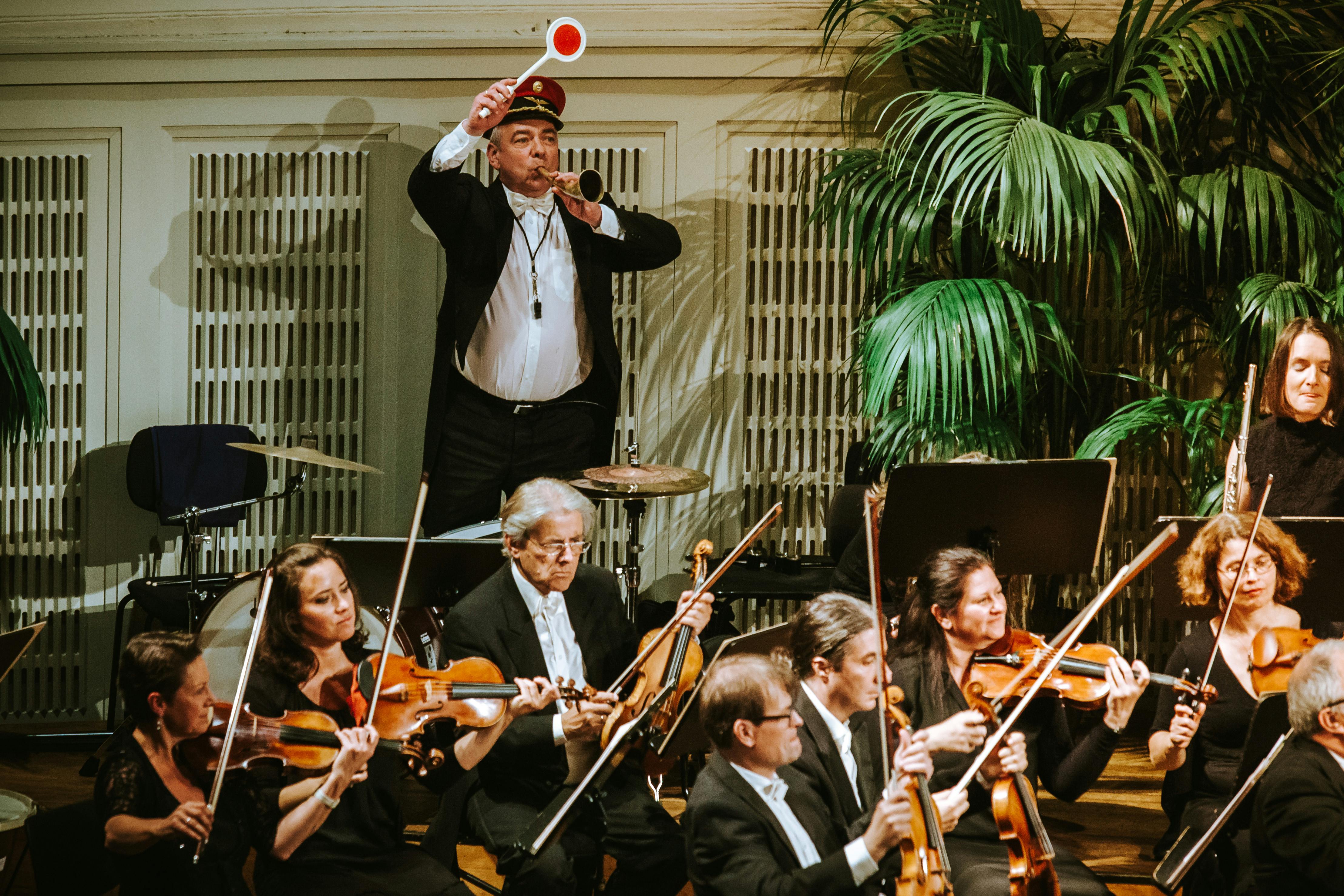 Vienna Hofburg Orchestra (7).jpg