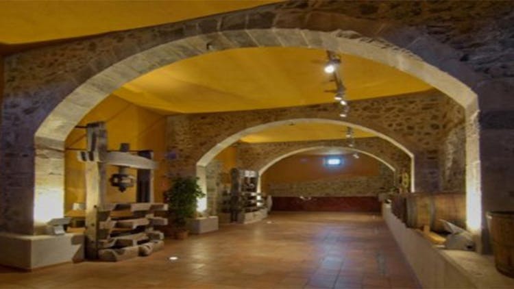 Breakfast winery experience and wine tour from Barcelona