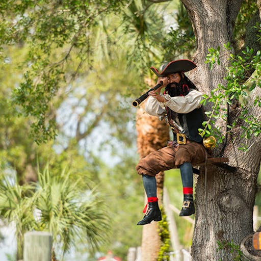 PC_Pirate_500x500.jpeg