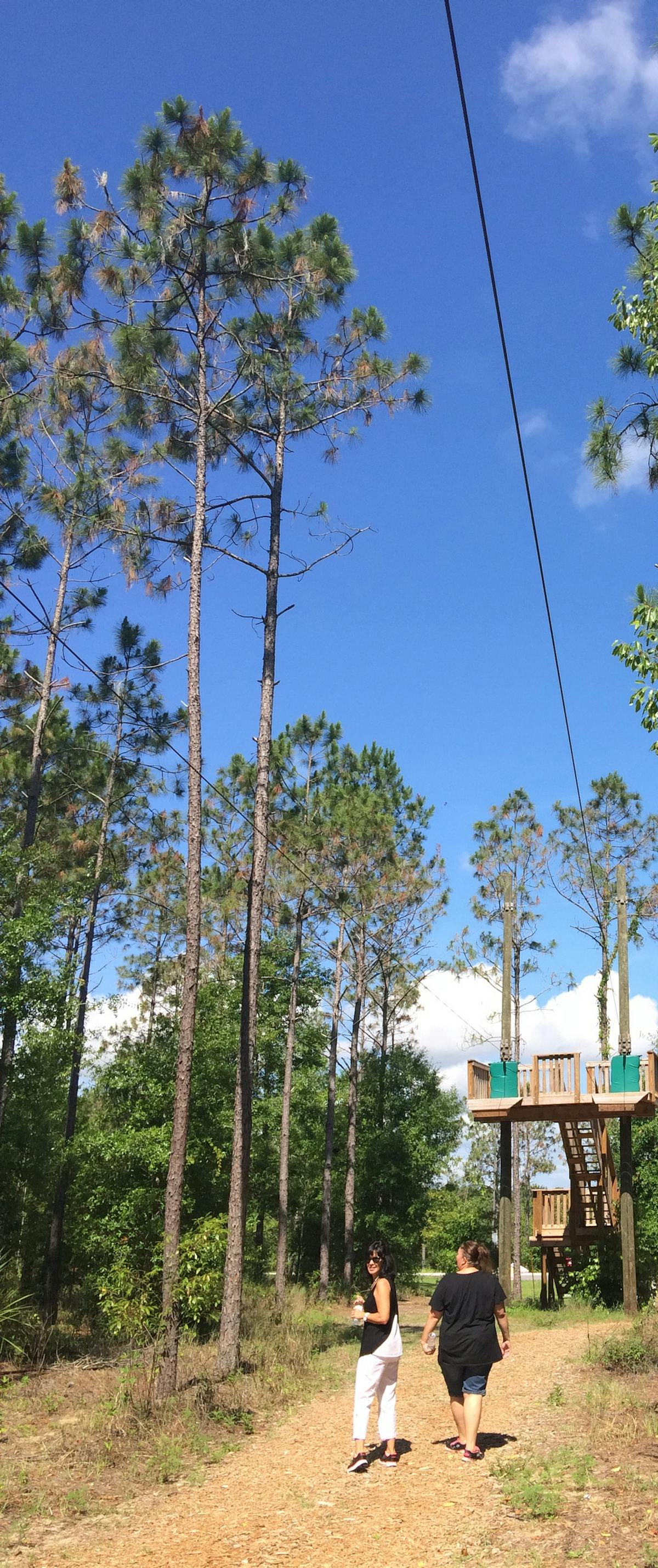 Bilety do Tree Trek Orlando Biuro podróży TUI