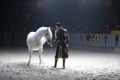 Horse with Knight.JPG
