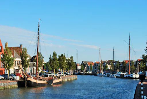 Dutch seal Half day3.JPG