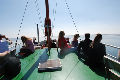 Dutch seal Half day16.JPG