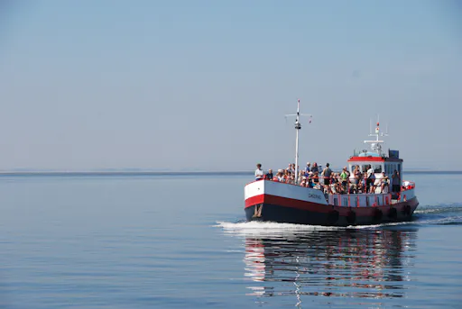 Dutch seal Half day12.JPG