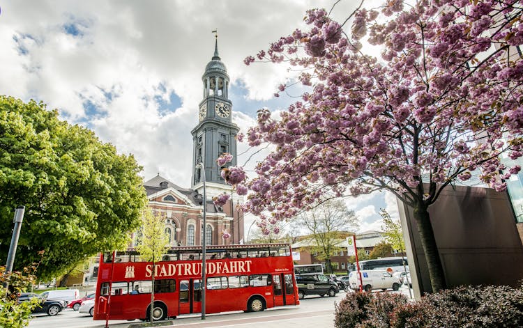 Discover Hamburg with hop-on hop-off bus, harbor and Alster cruise