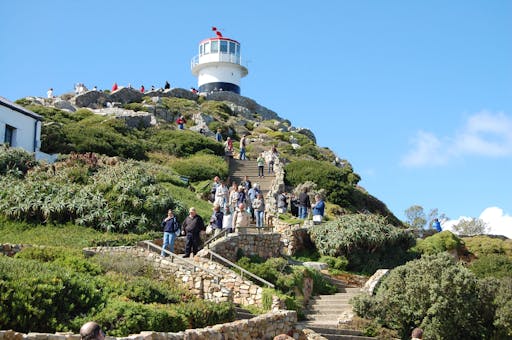 Full Day Cape Peninsula Tour 2.jpeg