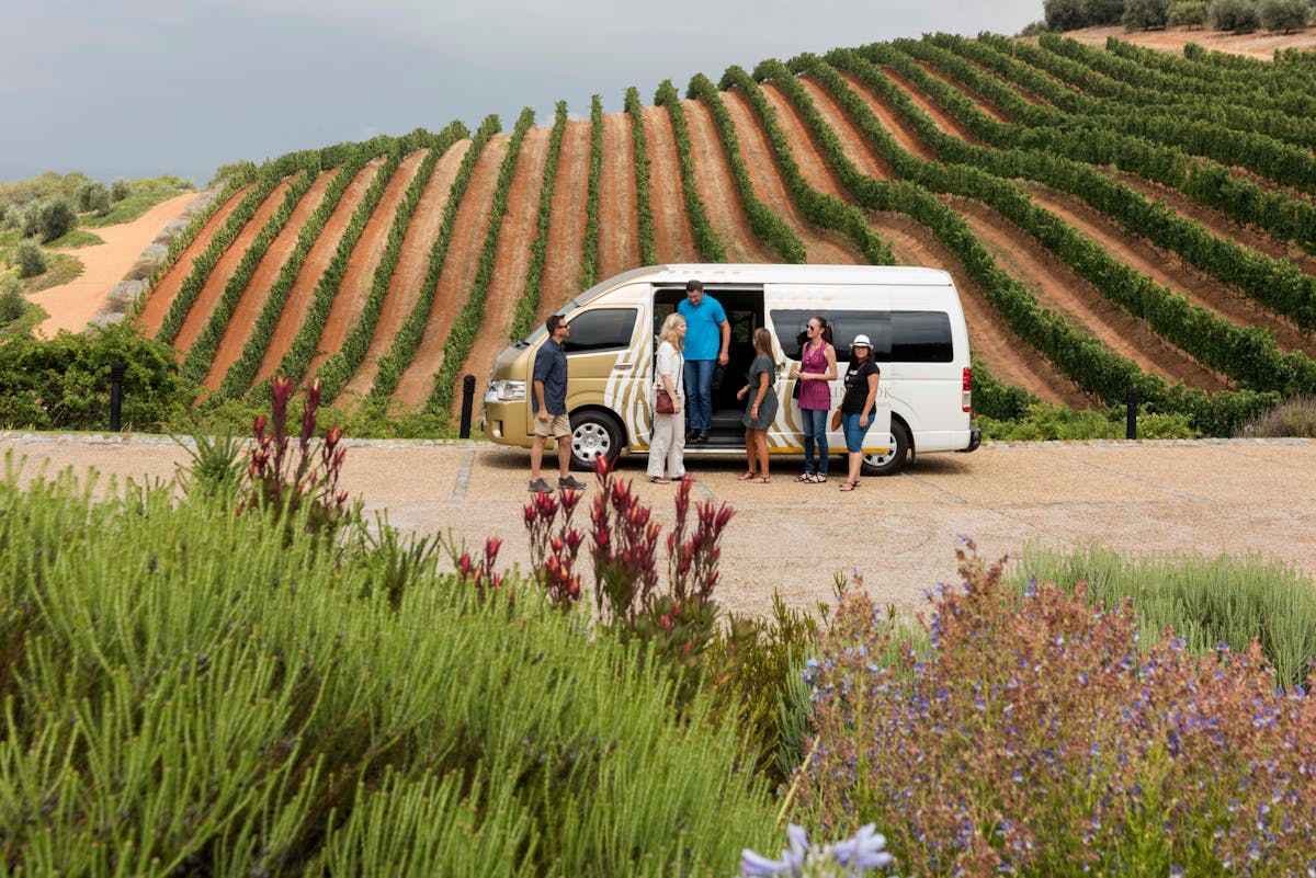 Full Day Winelands Tour 1.jpeg