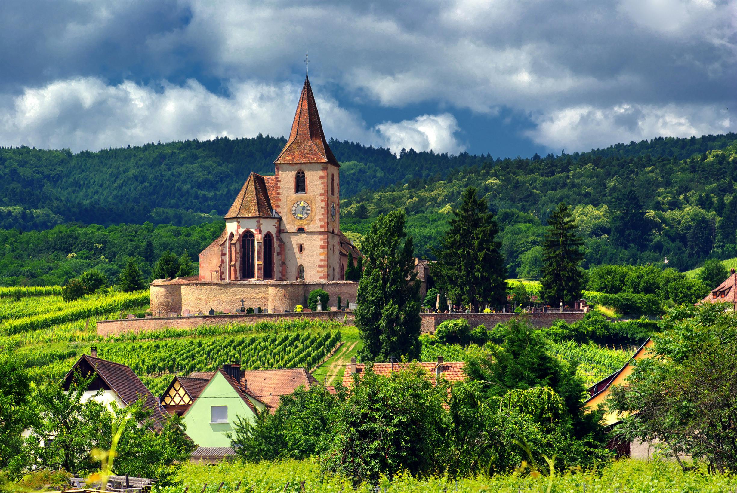 ALSACE FULL DAY SHARED WINE TOUR FROM STRASBOURG (2).jpeg