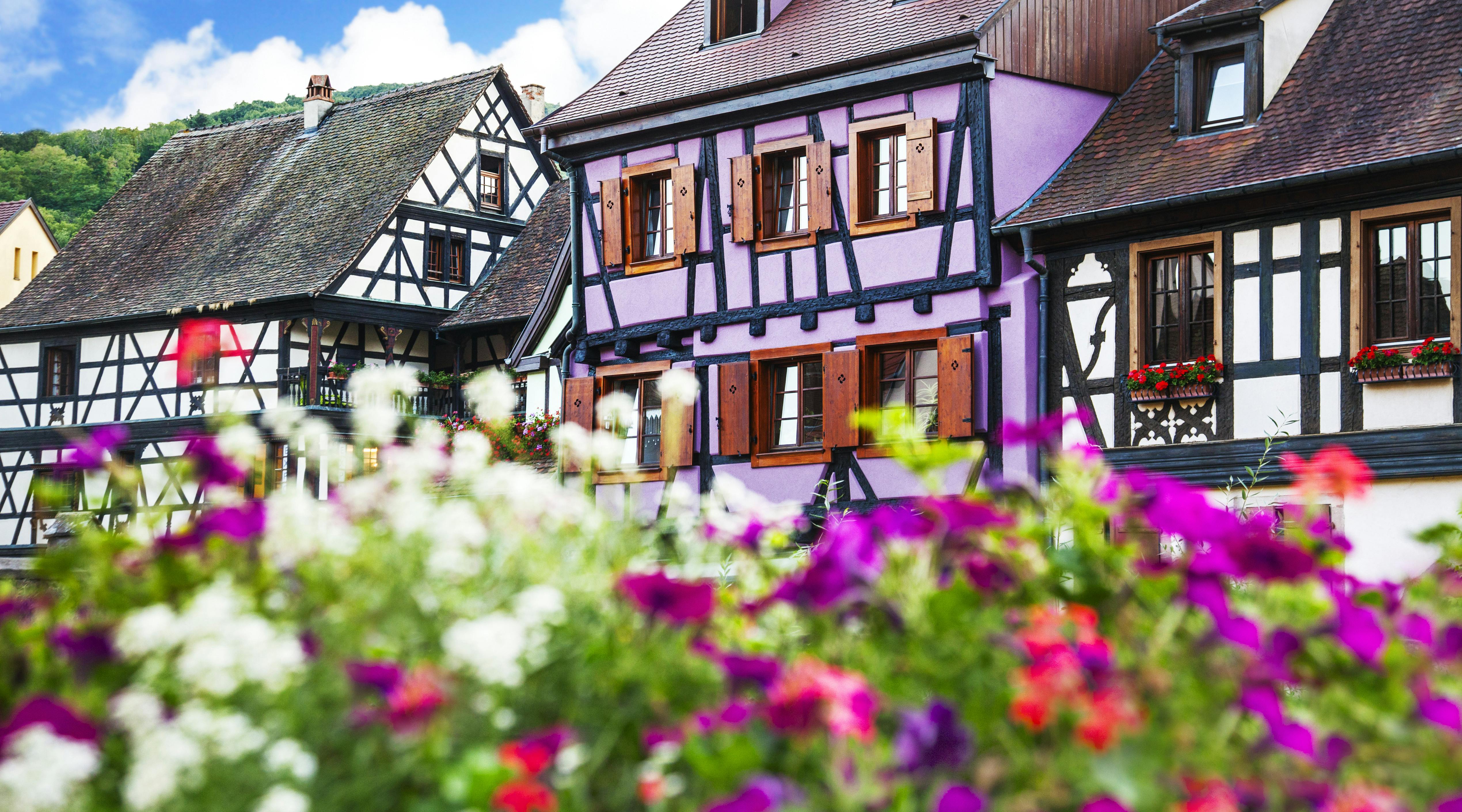 ALSACE VILLAGES HALF DAY SHARED TOUR FROM COLMAR (2).jpeg