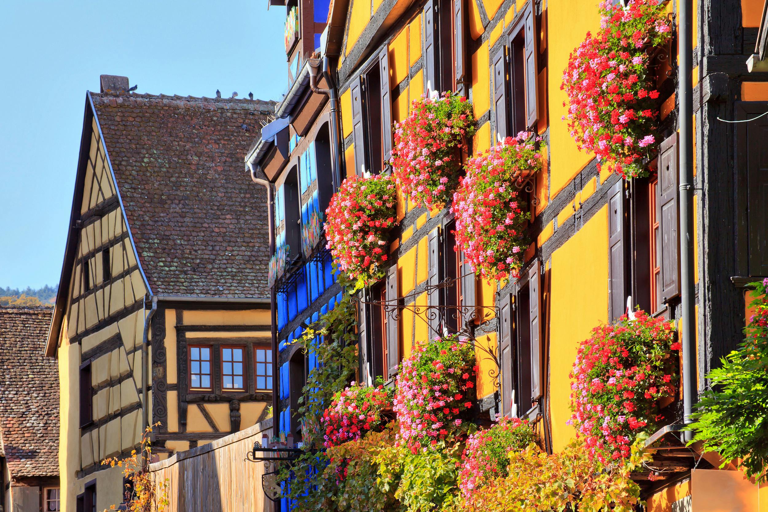 ALSACE WINE TOUR FULL DAY SHARED FROM COLMAR ; (2).jpeg