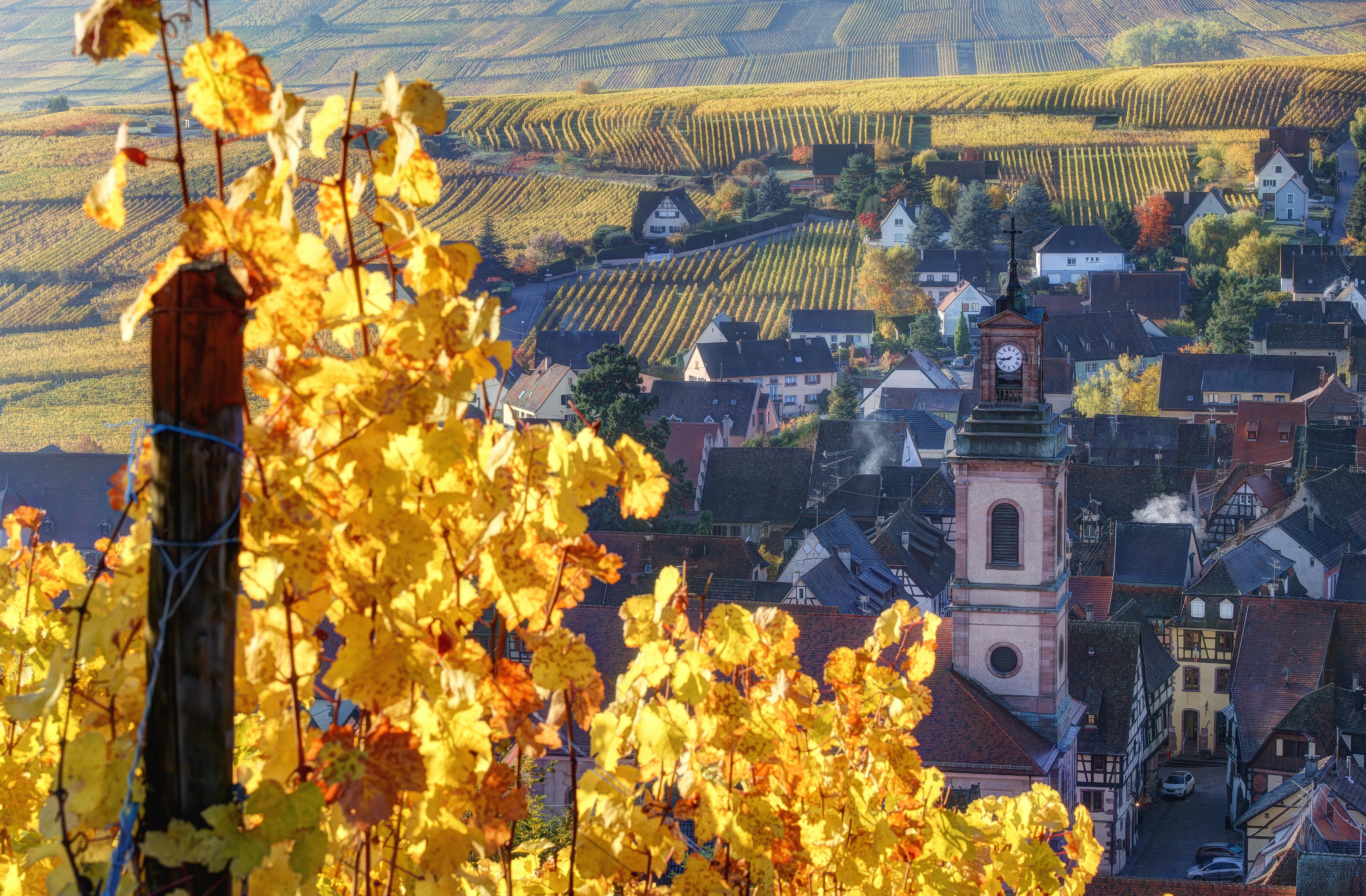 ALSACE WINE TOUR FULL DAY SHARED FROM COLMAR ; (3).jpeg