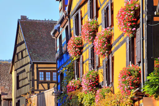 GEMS OF ALSACE FULL DAY SHARED TOUR FROM COLMAR (3).jpeg