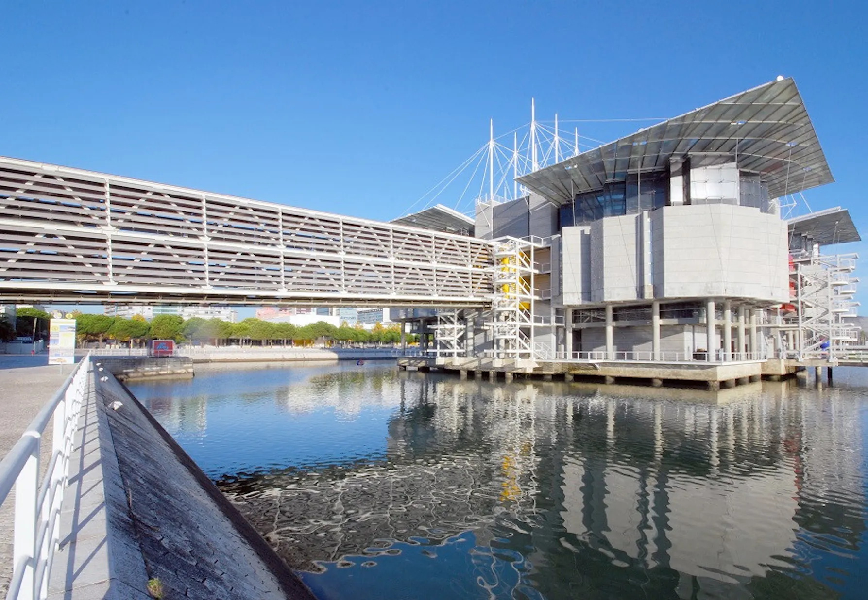 Oceanário de Lisboa – valtamerten maailma keskellä Lissabonia