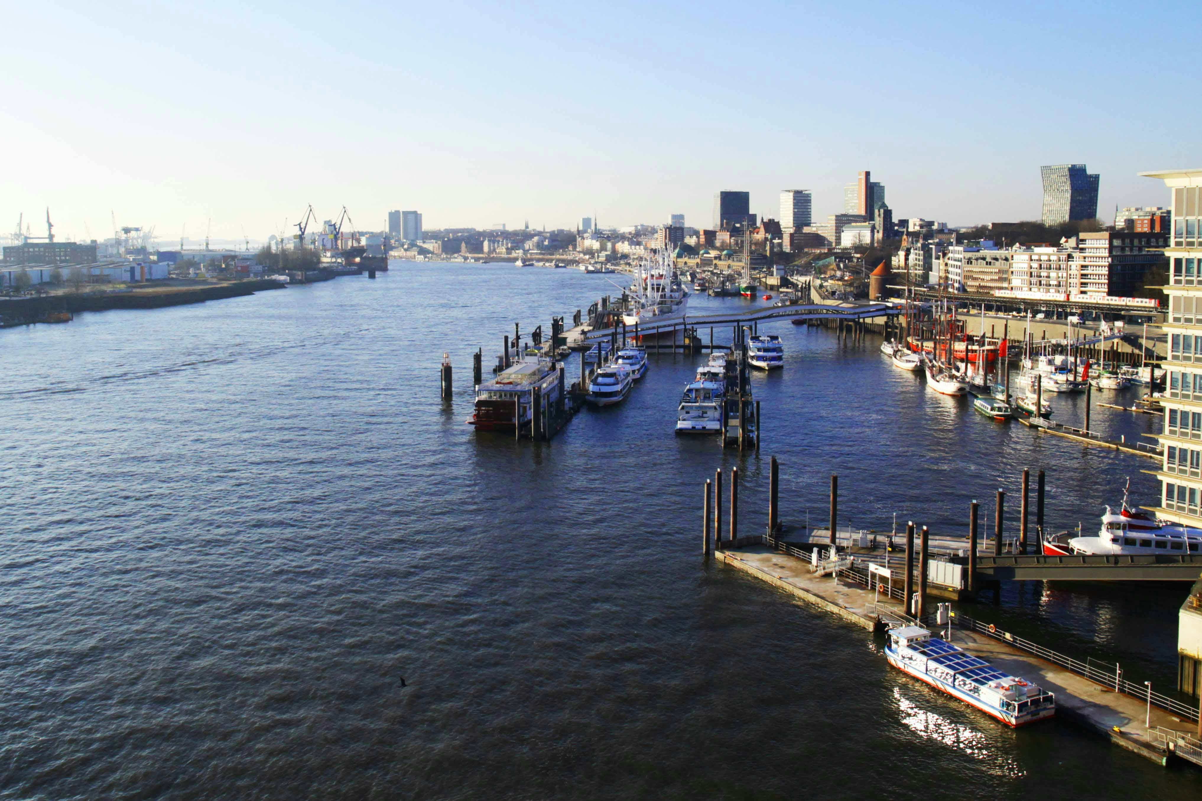 Discover Hamburg walking tour_St Pauli Piers.jpg