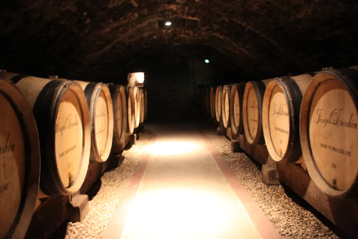 DBT-PD4 Credit photo France Intense (3).JPG