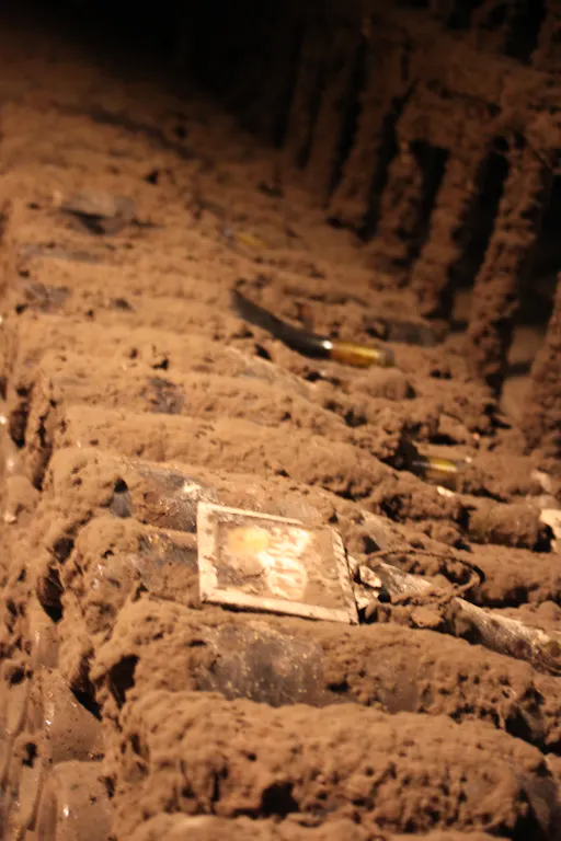 DBT-PD4 Credit photo France Intense (1).JPG