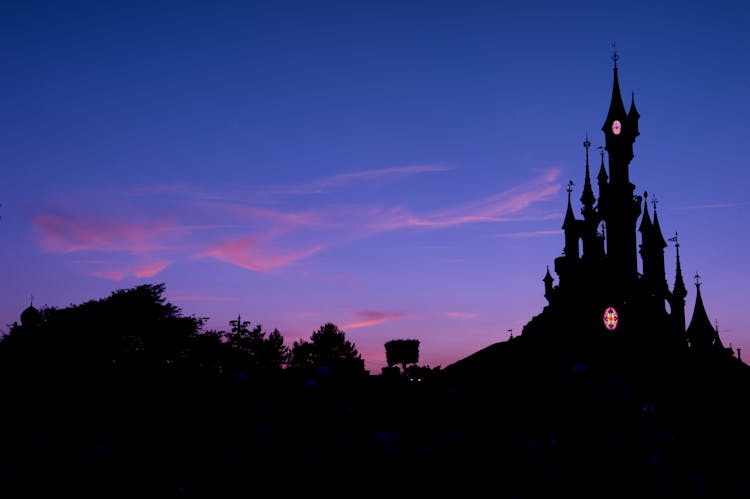 Disneyland® Париж билеттері Парижден көлікпен Билет - 4