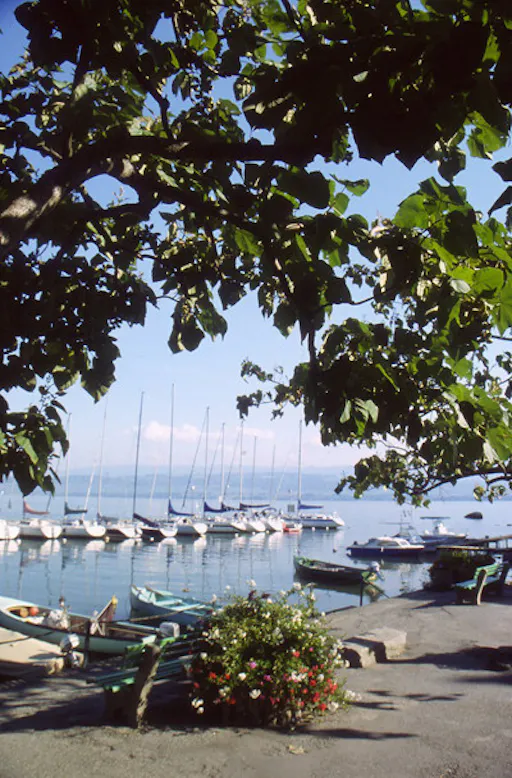 Medieval Yvoire half-day trip from Geneva with boat cruise (10).jpg