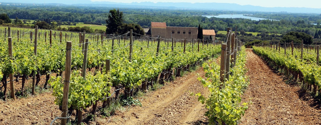 Chateauneuf Du Pape Vineyard Wine Tour Musement