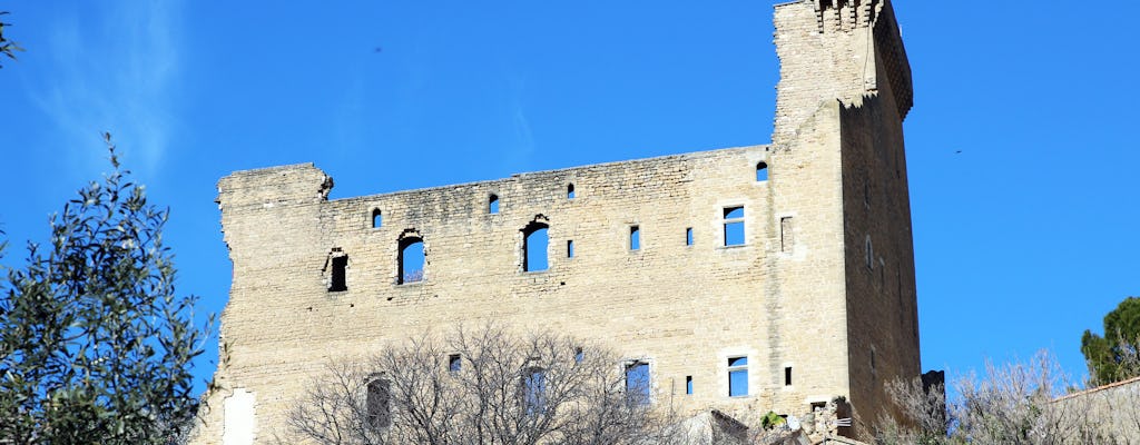 Full Day Private Tour Of Avignon And The Vineyards Of Chateauneuf Du Pape Musement