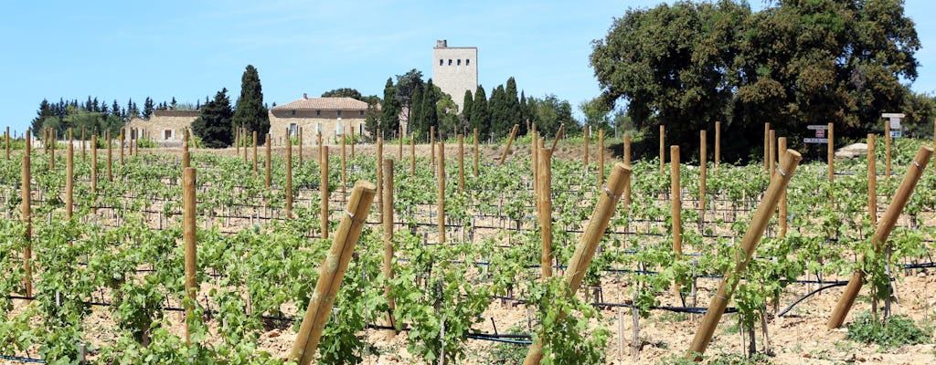Full Day Private Tour Of Avignon And The Vineyards Of Chateauneuf Du Pape Musement