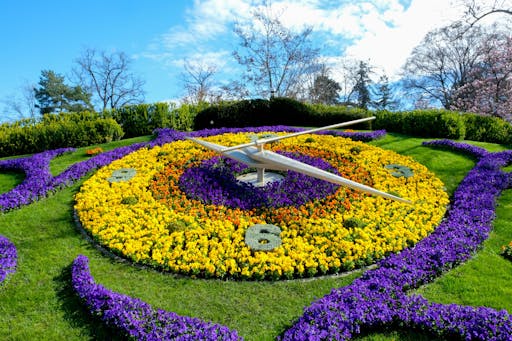 Geneva (3)_Horloge Fleurie.jpg