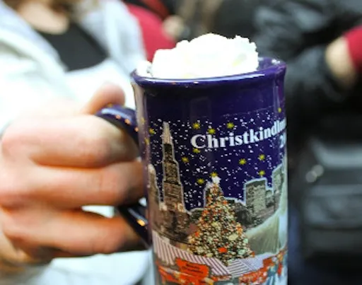 Holiday Hike in Chicago 2.jpg