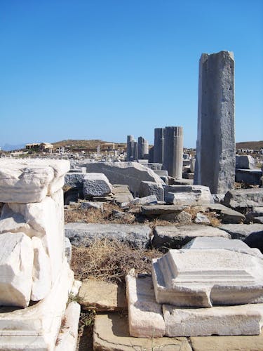Delos and Mykonos day cruise from Naxos