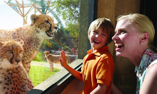 tampa-bay-citypass_header-14147.jpeg