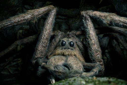FF-Aragog.jpg