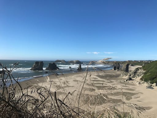 Oregon Coast 7.JPG