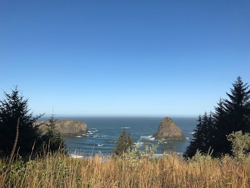 Oregon Coast 9.JPG