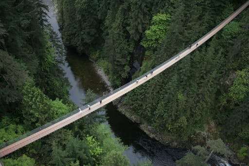 Capilano Suspension Bridge - Capilano Suspension Bridge Park.jpg