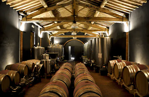 wine tasting siena 05.jpg