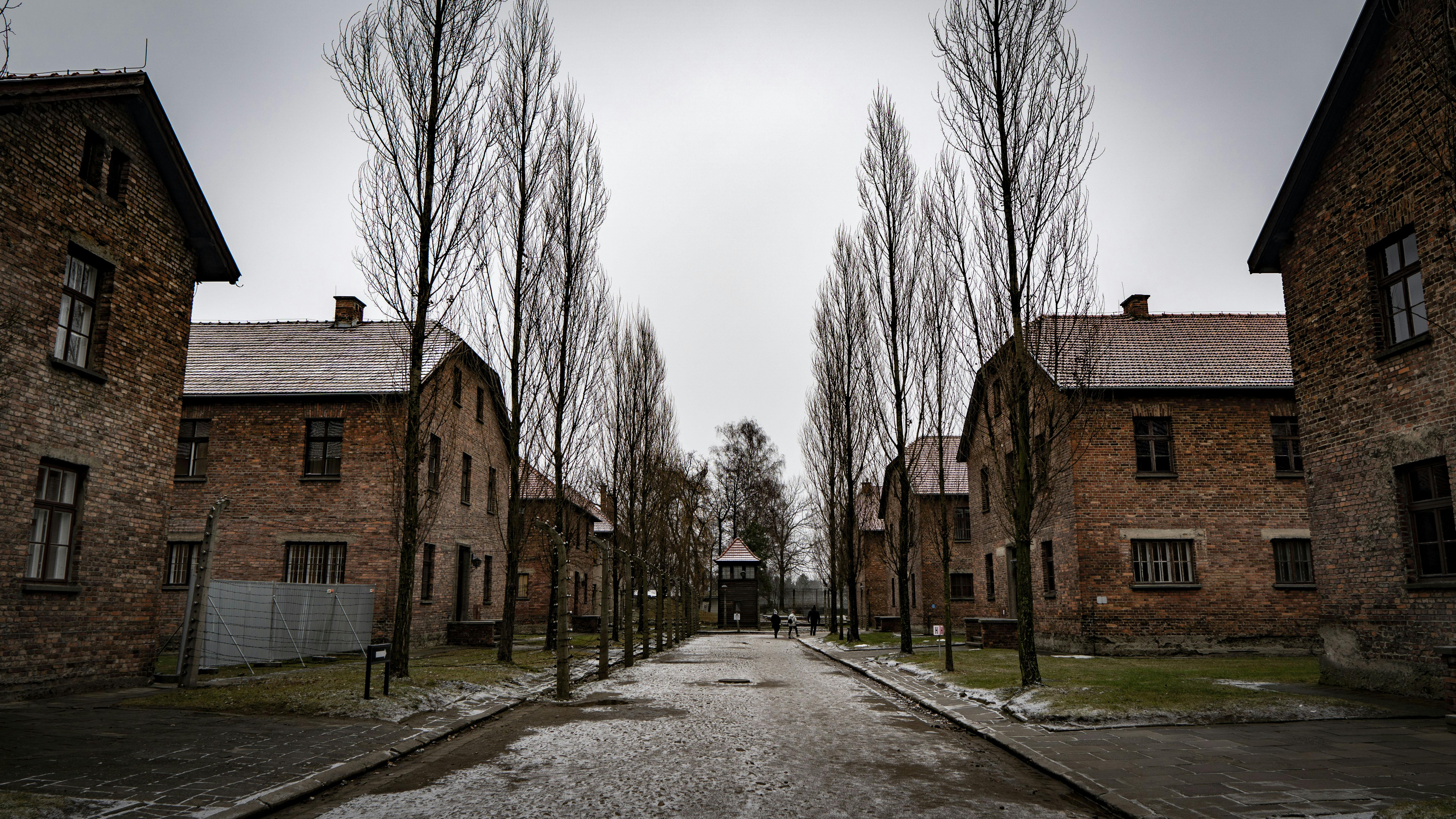 _K1A0827.JPG