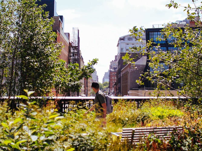 The High Line & Chelsea guided walking tour