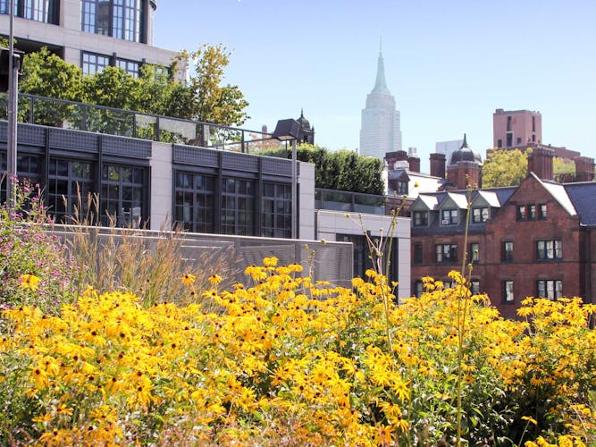 The High Line & Chelsea guided walking tour