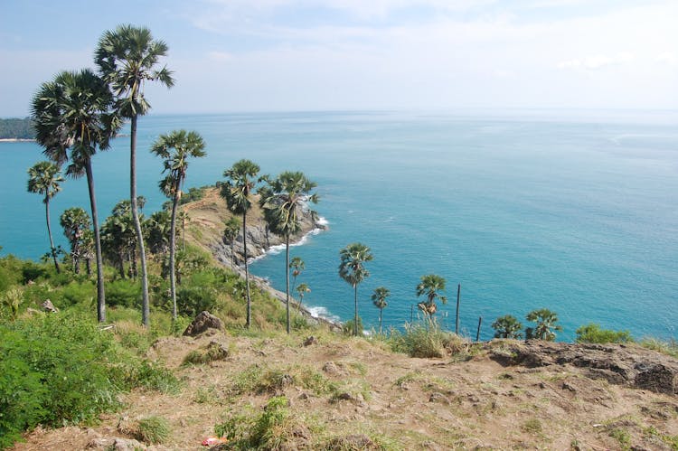 Amazing Phuket Island guided tour with Big Buddha